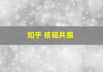 知乎 核磁共振